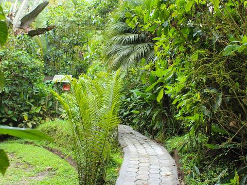 El Septimo Paraiso Ecuador